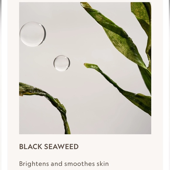 NIB Tone Up Primer - Essential Glow w/ 8 SuperBlacks Essence - Picture 10 of 11